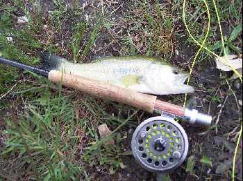 lac vert � Can�jan (33)