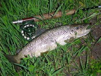 Hautes eaux beaux poissons