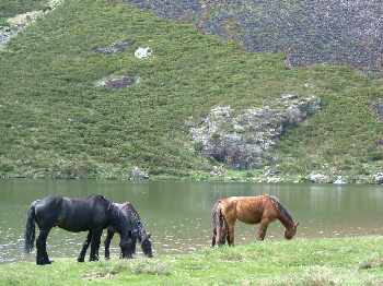 Lac de montagne
