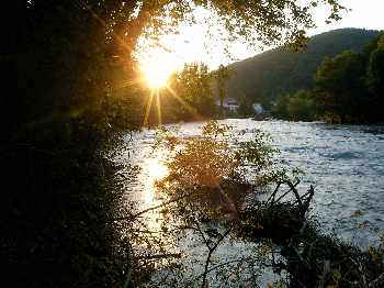 liévre,moustique,truites