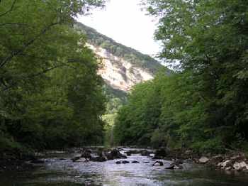 Albarine