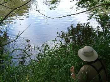 les vedette au segre