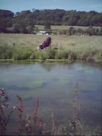 La haute Normandie est belle !