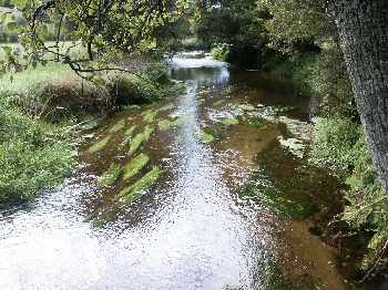 Ca remue en Finistère