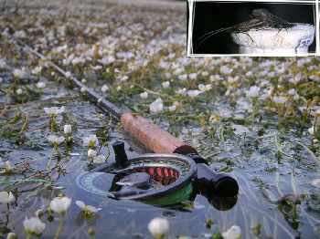 ya pas que les pieds dans l'eau qui compte !