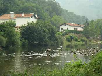 Cours de speycast