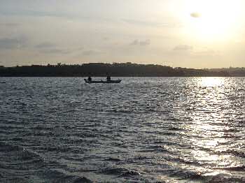 A Bewl Water, le week end dernier...