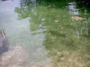 Green Lake