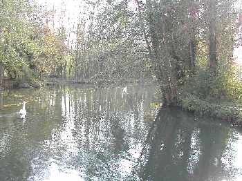 Brochet sur l'Eure