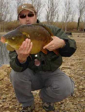 Quand les carpes s'en melent