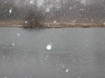 Sous la neige