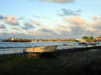 Chaud-Froid