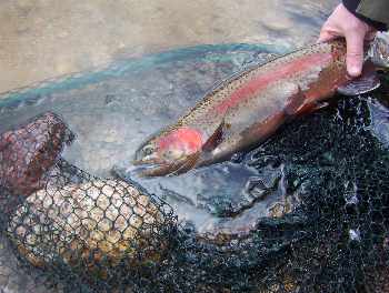 R�servoir