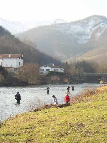 Speycast et gestion du saumon sur la Nive