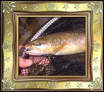 Premier Bain 2005