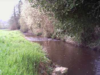Retour aux sources