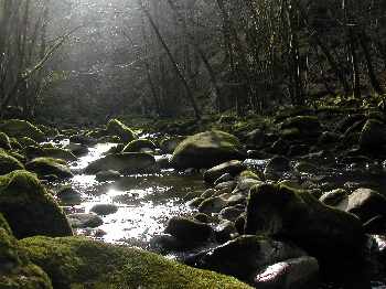 Manque d'eau!