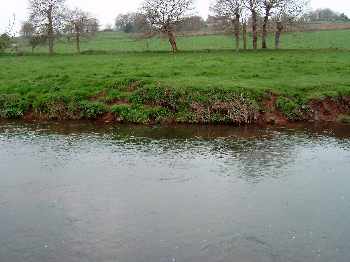 Leçon de pêche