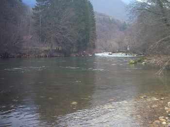 Des p�cheurs, des �closions et des poissons.....