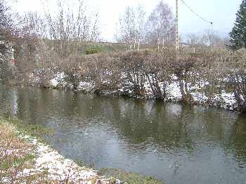 Eclosion sur le segre
