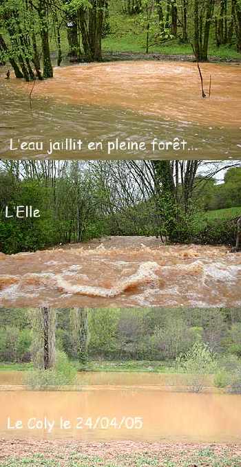 De l'eau en pleine forêt...