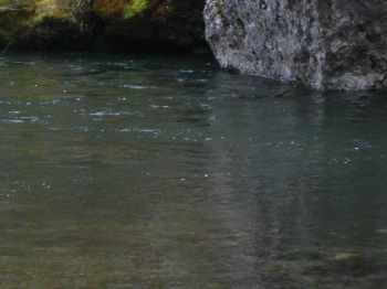 Gorges de la Jonte