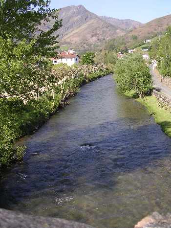 Trop d'eau