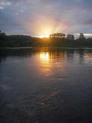 Ombres du soir....