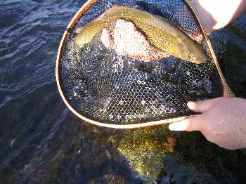 La pêche c'est chouette ?