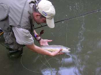 Un poisson...et c'est tout...