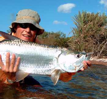 Premier Tarpon a la mouche