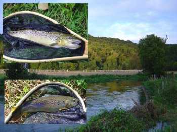 Fermeture sur l'Iton