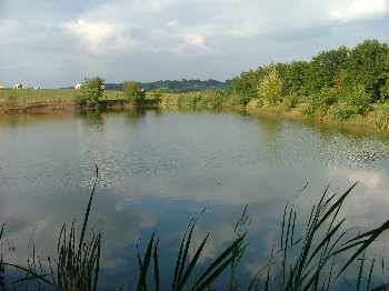 Premiers poissons