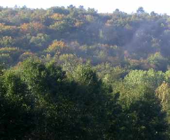 Une belle erreur de d�butant...