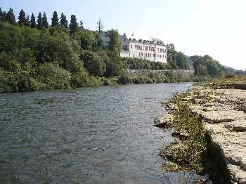 Thymallus luxembourgeois