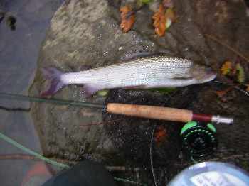 meme pas froid