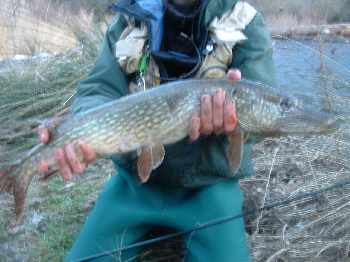 P-O: brochet et photo!