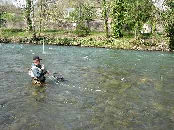 Eclosion d'Unijamba