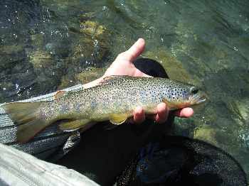 Belle journ�e sur la garonne espagnole