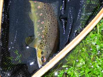Retour � Moulin Neuf