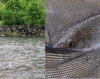eaux fortes...