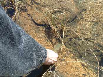 Lacs de montagne: Ouverture r�ussie