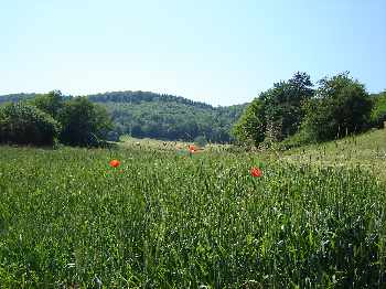 Premiers pas sur la Haute-Loue