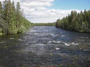 Gimån – Ombres géants