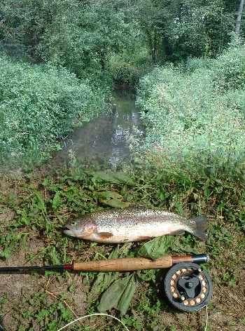 Parcours mouche du Matz