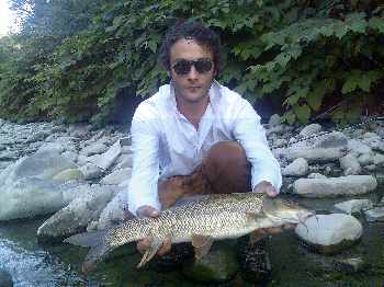Coup du soir et barbeaux