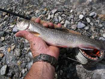 savoie entre lacs et torrents