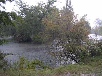 Derni�re sortie de l'ann�e