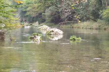Dédicasse
