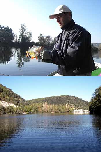 Sortie carnassiers sur la Belle.
